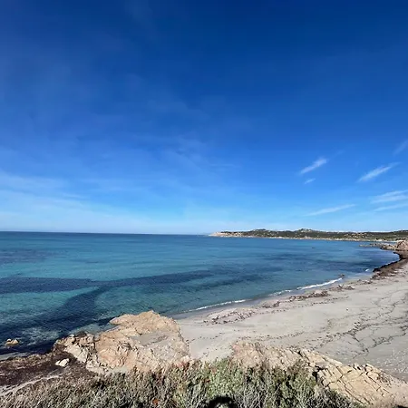 Alba Majore * رينا ماجور