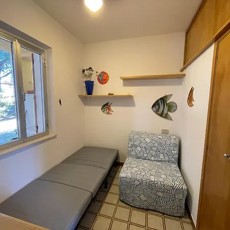 Alba Majore رينا ماجور