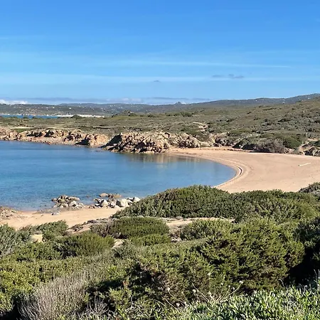 Alba Majore رينا ماجور