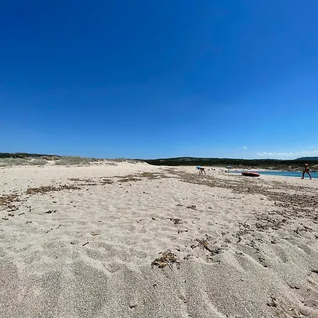 Alba Majore * رينا ماجور