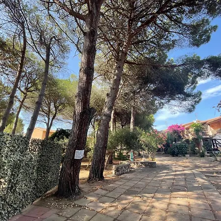 Alba Majore رينا ماجور