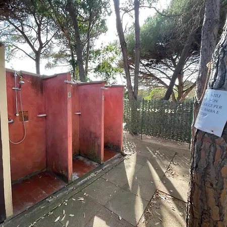 Alba Majore * رينا ماجور