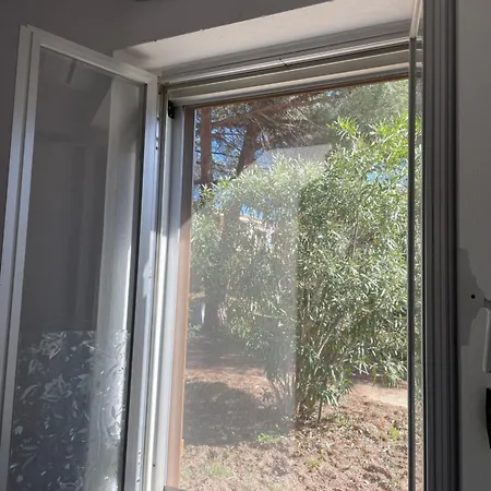 Alba Majore Semesterbostad Rena Majore