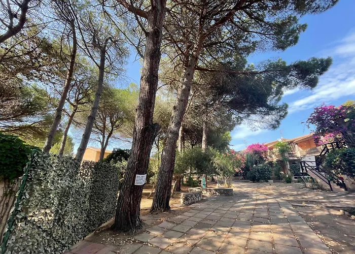 Alba Majore Rena Majore